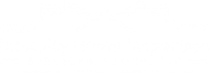 integrity home inspections logo