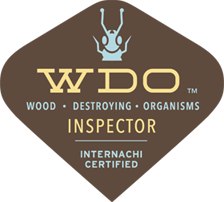 wood destroying organisms inspector